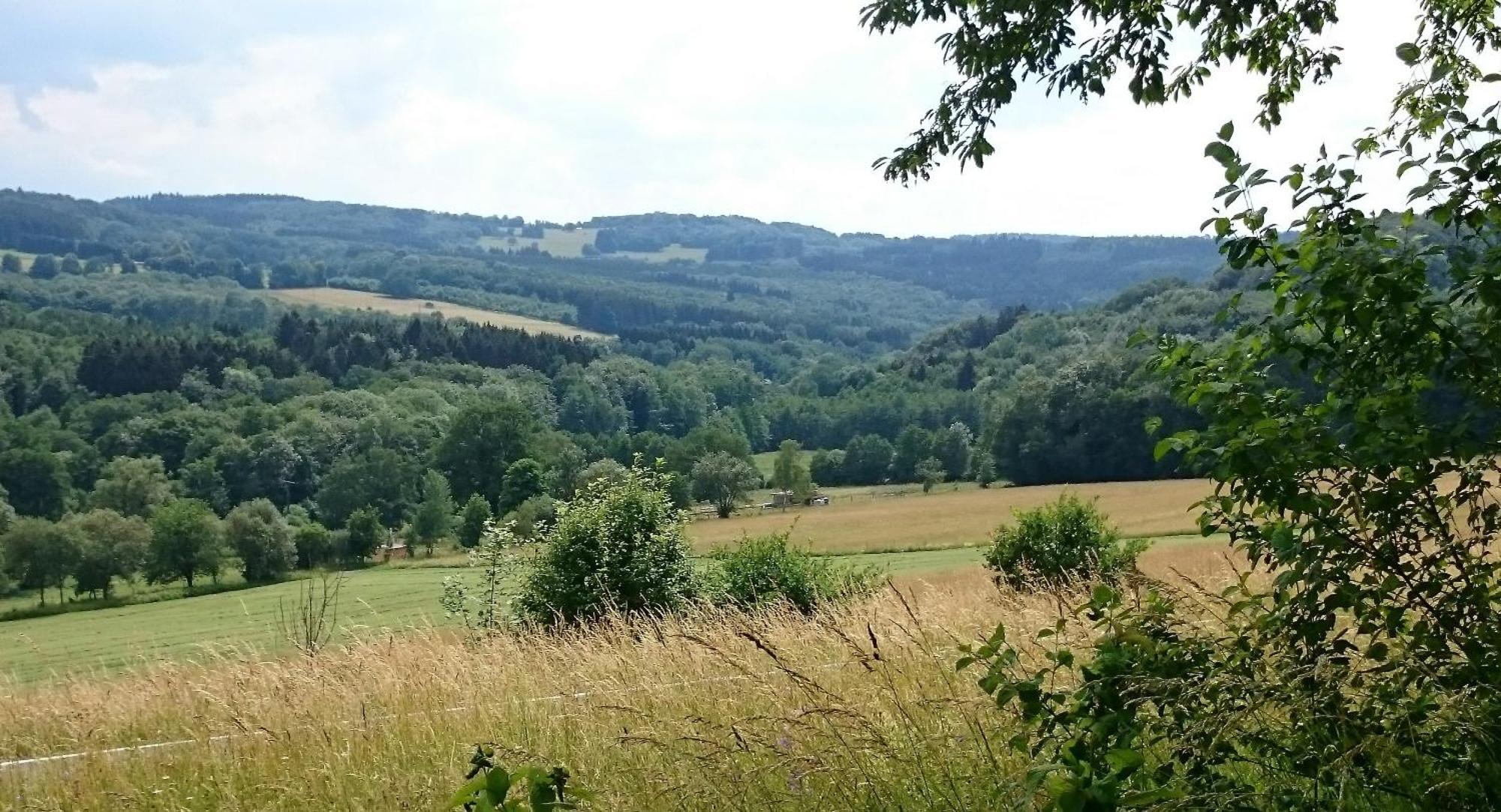 Ferienhaus zur schönen Aussicht Hardt  Exterior foto